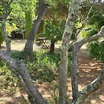 Rez-de-jardin élégant Avec Jacuzzi Calme Hébergement de vacances Saint-Tropez