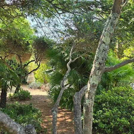 House With Garden & Jacuzzi Near Center Ferienhaus Saint-Tropez