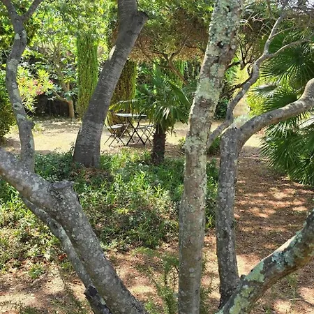 House With Garden & Jacuzzi Near Center Ferienhaus Saint-Tropez