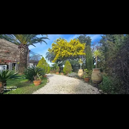 House With Garden & Jacuzzi Near Center